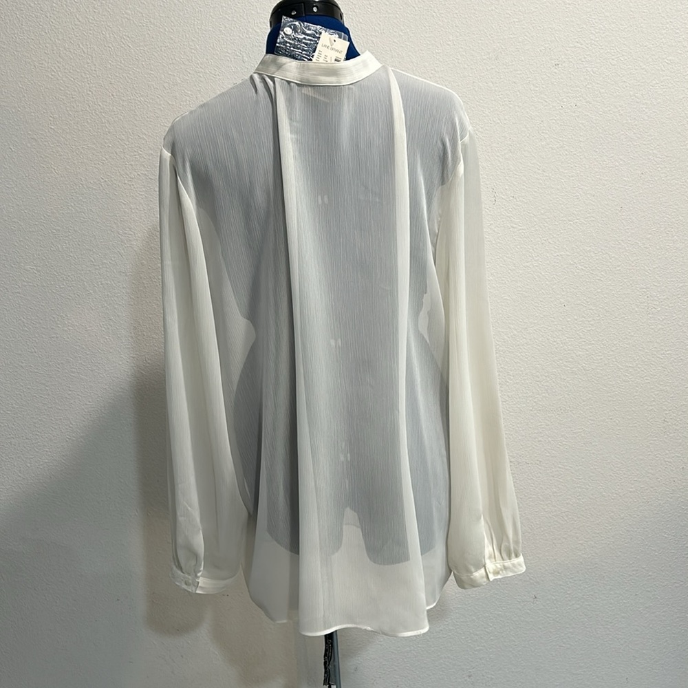 NWT Women’s Lane Bryant sheer blouse with pleated bodice - Picture 2 of 6